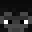 Spenka's head