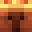 CapybaraKing334's head