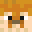 pufferleo's head