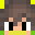 FardinAmjadGamer's head