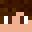 LazyNinja426's head
