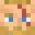 Fenix_1127's head
