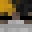 APEXAR's head