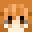 ActualActuallyAc's head
