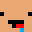 IOERIC12's head