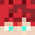 _acs_313_'s head