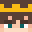 DSMIS's head
