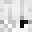 Tenshisamaa's head