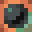 HushedSquirrel2's head