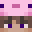 muchomorek05's head