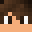 Dawid667's head