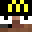 Treeqz29's head