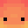 Xant3rz's head
