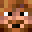 bearNOVAMENTE's head