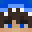 DT09's head