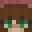 Nyxx300's head