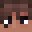 BrunoMesmo's head