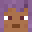 DominikNotFound's head