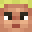 giragirasol's head