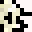 the_contradict's head