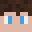 Noel_1705's head