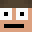 Fly7896's head