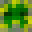 Microlize's head