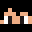 FN_PROGAMER's head