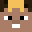 ZmAcer8's head