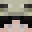 nicofrog's head