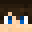 Brandonjr32416's head