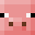 ZeBacon's head