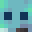 Hedgep0g's head