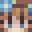 Penguin_pilot12's head
