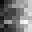 Acqu_Tim's head