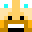 Zucchini_1's head