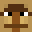 Crafterpippo's head