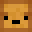 awesomedonut17's head