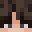 SquidCompany's head