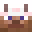 nohackskidL's head