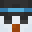 P1lskuh's head