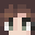 Janironsblocks's head