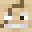 ShawQuest's head