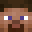 Shevels's head