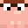 SHIN0BI2000's head