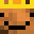 steth_'s head