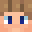 Wippi195's head