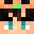 Wise013's head