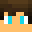 FishyDoesStuff's head