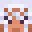 Pizzapop_1's head